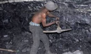 Screenshot_20260406_155541_Chrome