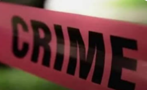 Screenshot_20260413_130256_Chrome